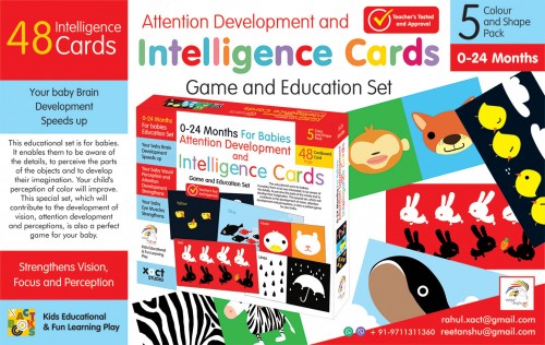 INTELLIGENCE FIRST FLASHCARDS